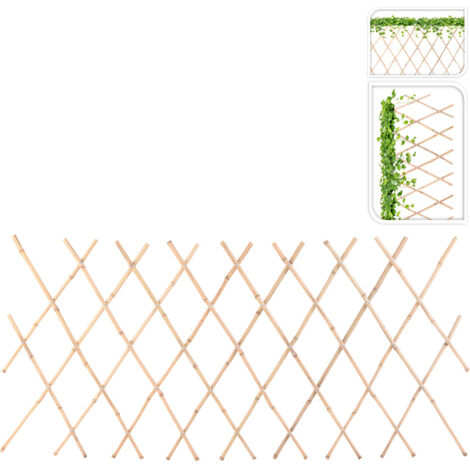 CELOSIA PLANTAS BAMBU 45x180 CM