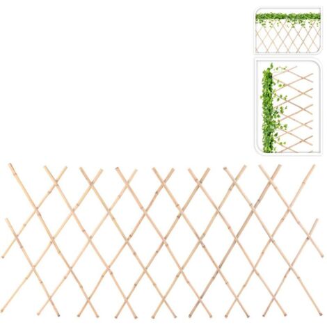 CELOSIA PLANTAS BAMBU 70x180 CM