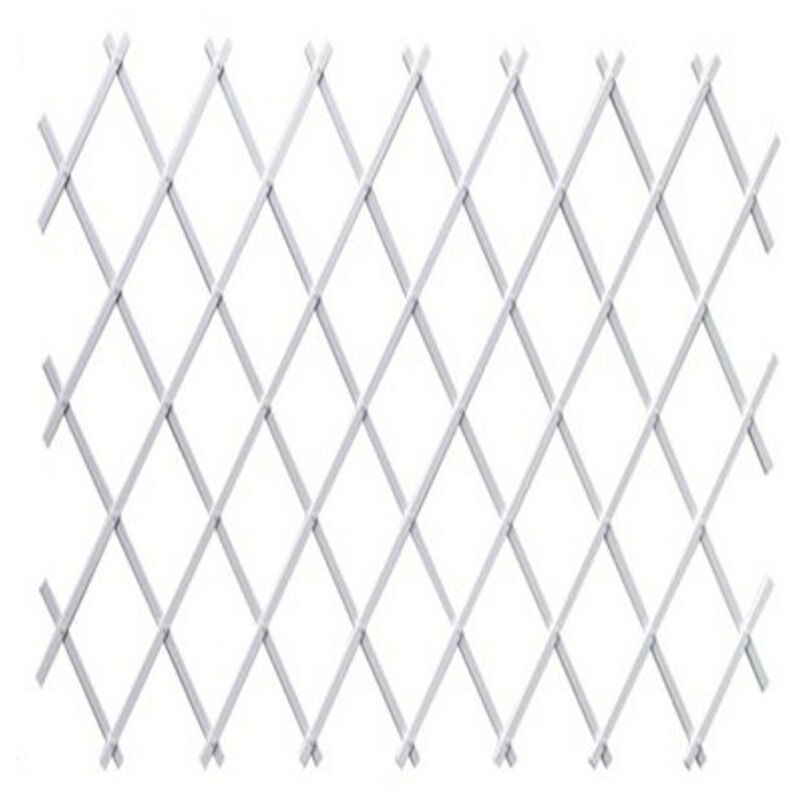 

Celosia Plastica Blanca 0,5X1,5M