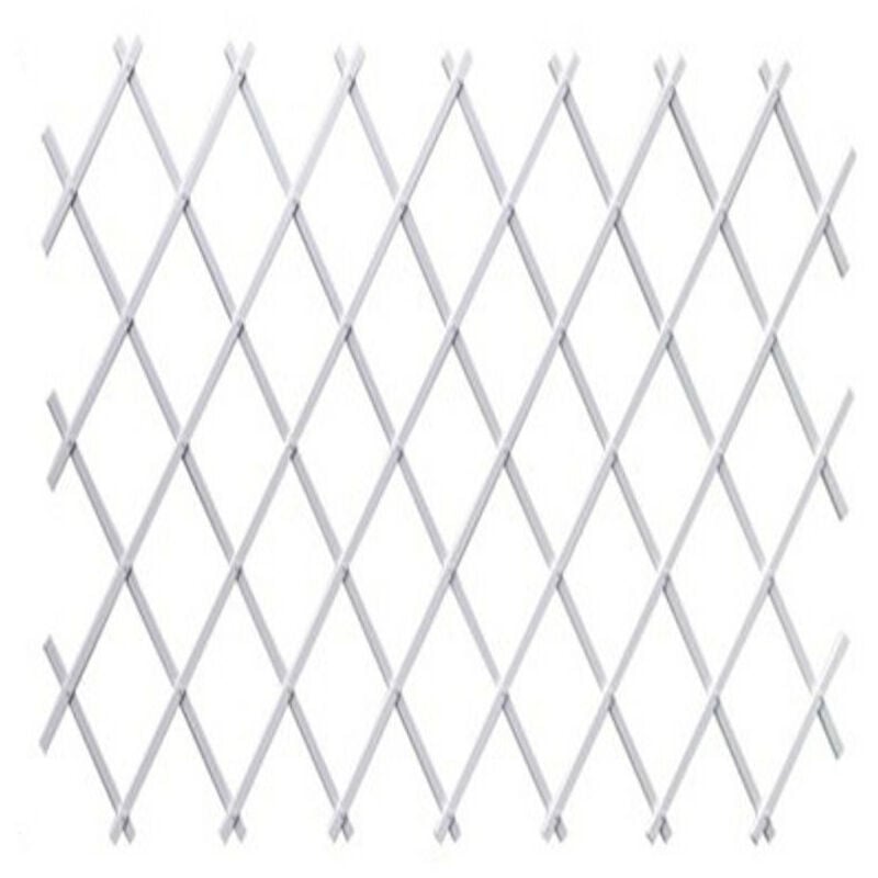 

Celosia Plastica Blanca 1X3M