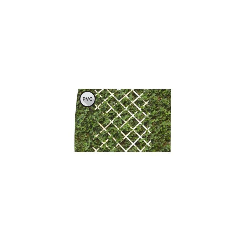 

Celosia Deco Pvc Extensible 0.50mX1.50 m/Blanco - Blanco