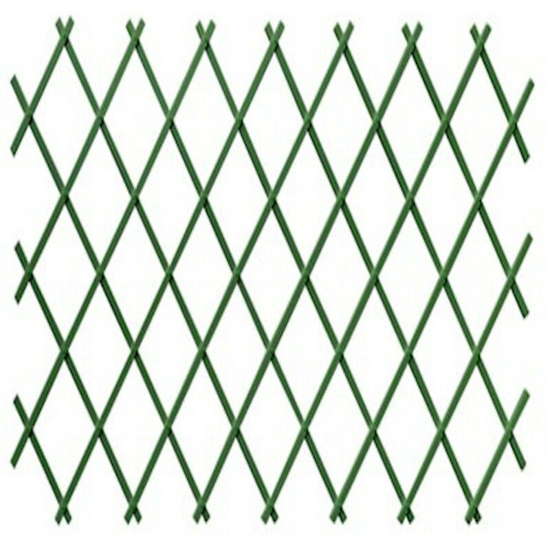 

Celosia Plastica Verde 0,5X1,5M