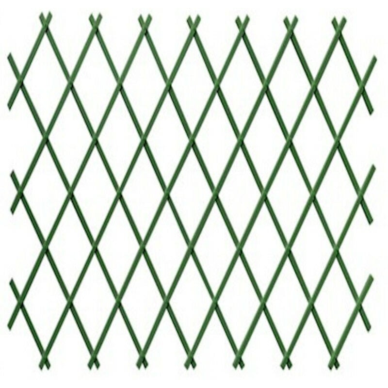 

Celosia Plastica Verde 1X2M