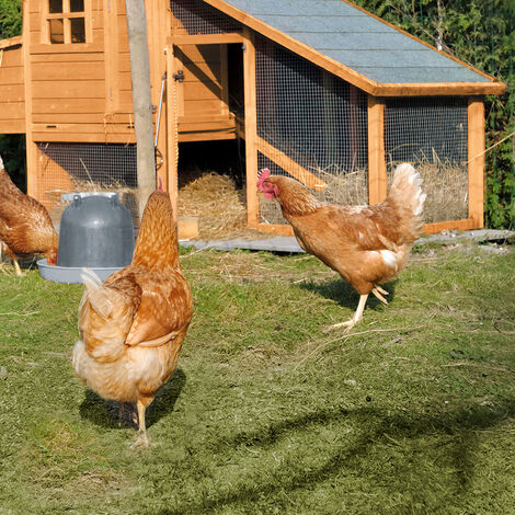 Cémonjardin – Poulailler en bois pour 3 poules – Sapin lasuré traité – Dimensions L 189 x lg 77,5 x H 114 cm – Toit en feutre bitumé résistant