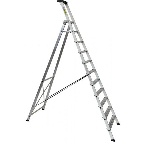 Centaure - Escabeau aluminium laqué 10 marches hauteur d'accès maxi 4,20 m - EXPERT 54