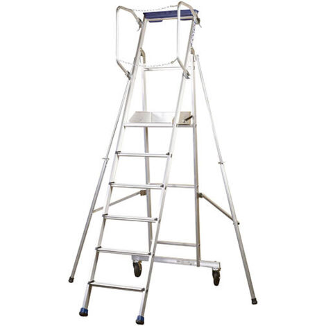 CENTAURE Plate-forme de rayonnage aluminium ERM 6 marches