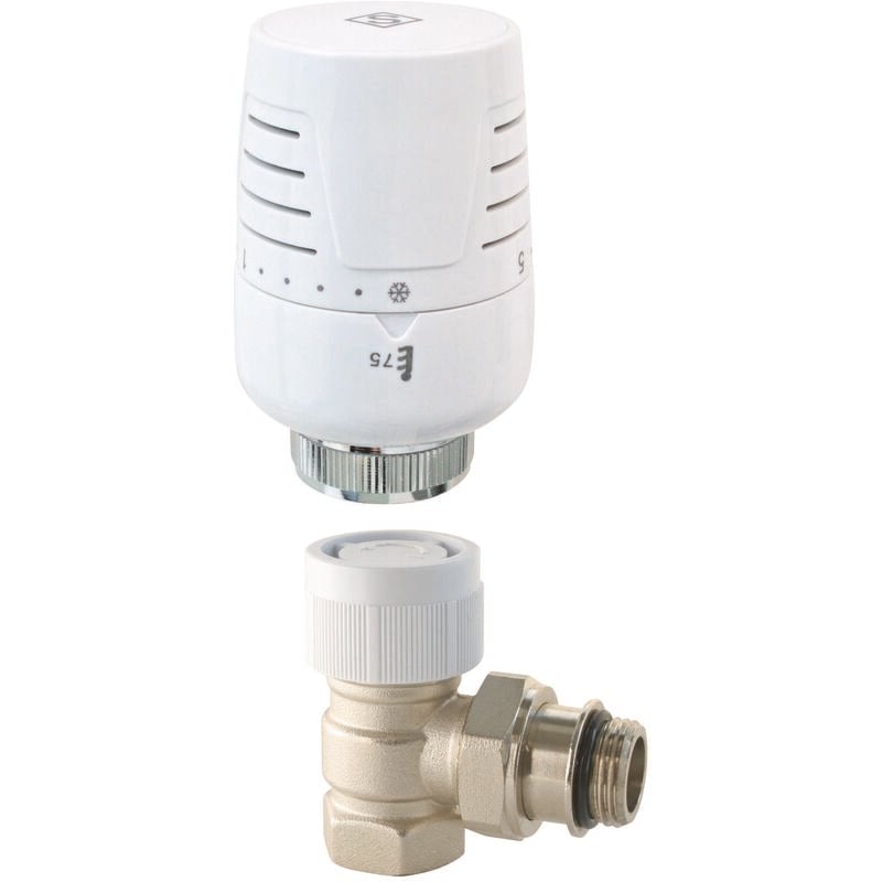 Robinet thermostatique confort T302 équerre 20x27 (3/4")
