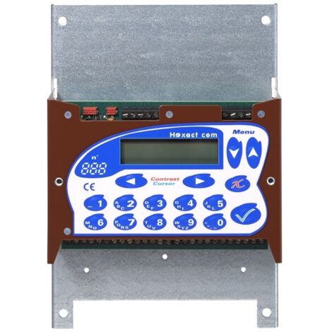 Centrale de gestion 2 entrées avec afficheur et clavier de programmation HECOMGSM - Aiphone 150000