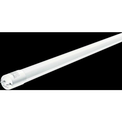 Lampadina tubo f10 t8 bl