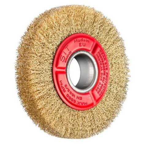 Cepillo Circular 125X20 F.16 Bl Sit