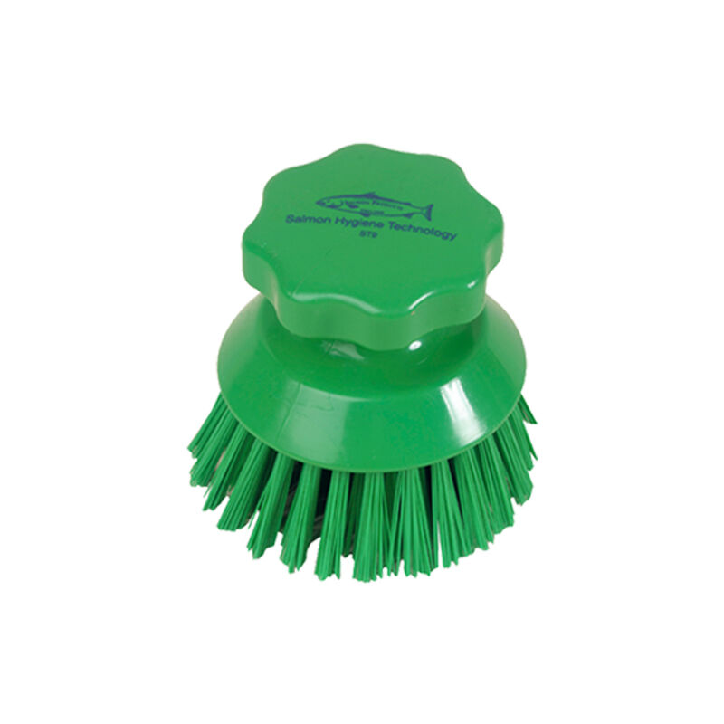 

Cepillo de mano redondo 0,60mm Seleccione el color deseado Verde