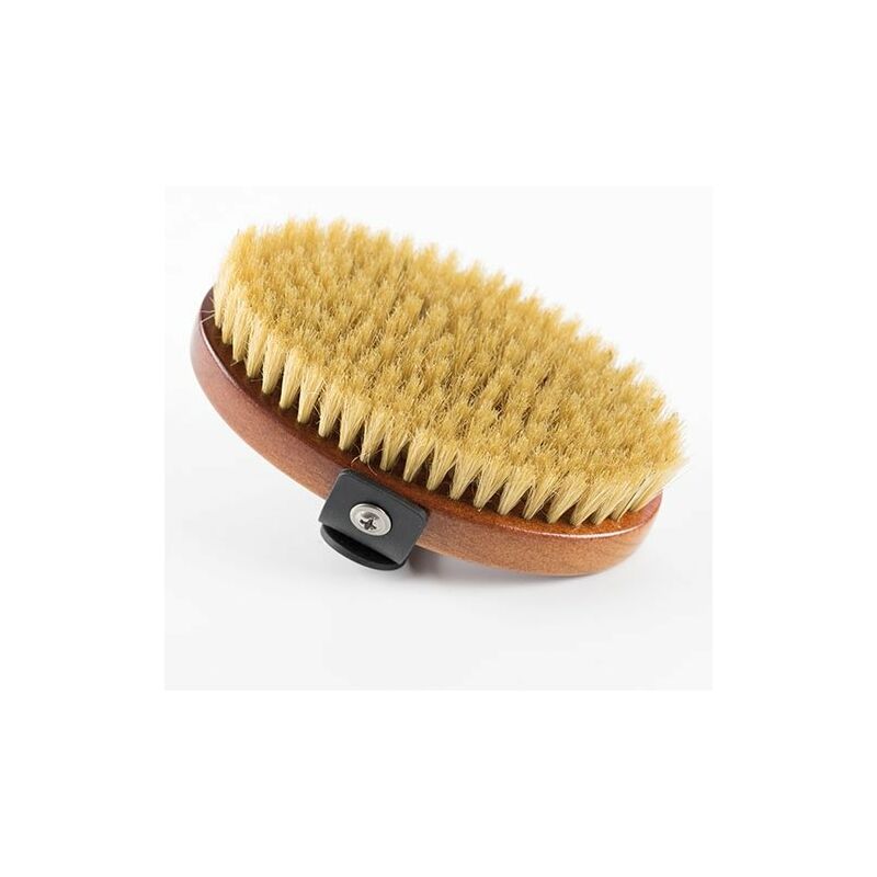

Cepillo Ibáñez oval de cerdas naturales, proporciona brillo al manto, fácil ajuste