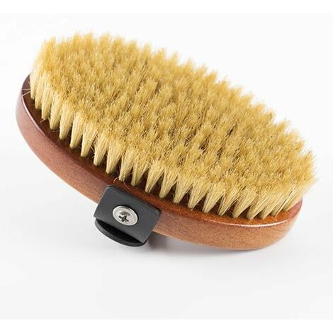 Cepillo Ibáñez oval de cerdas naturales, proporciona brillo al manto, fácil ajuste