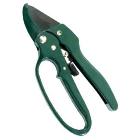 Cepillo para mascotas Cricco 210 Ilcampo 03496