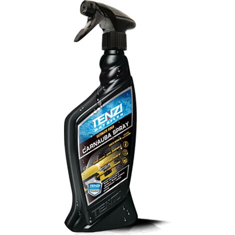 Cera spray carnauba 0,6 l - TZ D 41 0698