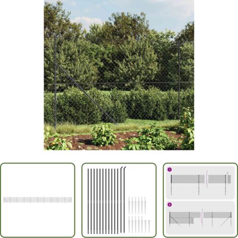Cerca de acero -  Cerca de alambre con pinchos de anclaje gris antracita 2x25 m