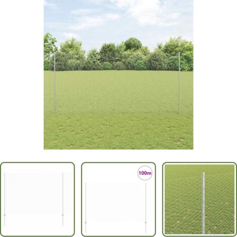 Cerca de acero -  Valla con Poste Plateado 1,6 x 100 m Acero