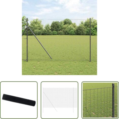 Cerca de hierro -  Euro Valla Gris 1,6 x 10 m Hierro recubierto de PVC