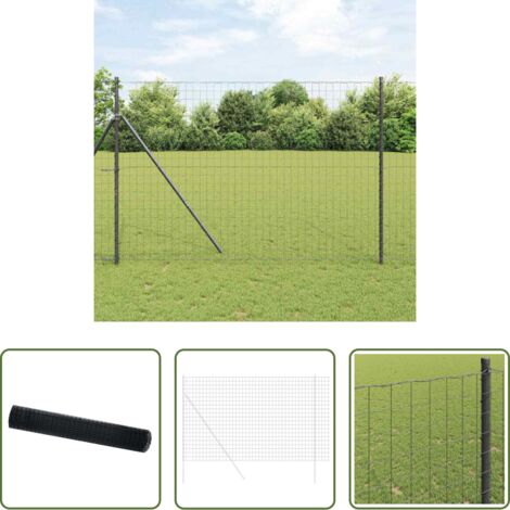 Cerca de hierro -  Euro Valla Negro 1,6 x 10 m Hierro recubierto de PVC