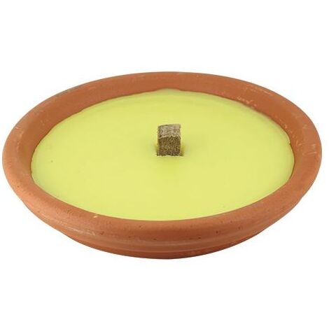 CERI CITRON.IN COCCIO MAXI         CM.17