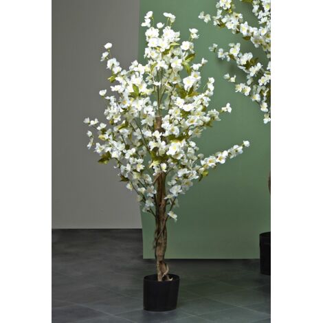 Cerisier blanc en fleurs 120 cm. 120 cm