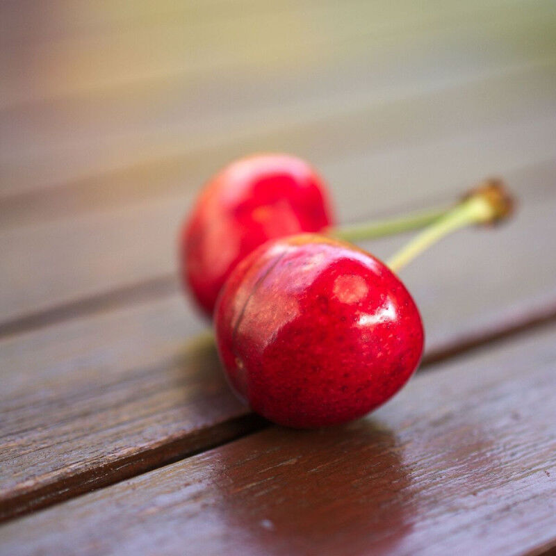 Cerisier Bigarreau Coeur de Marmotte/Pot de 10L