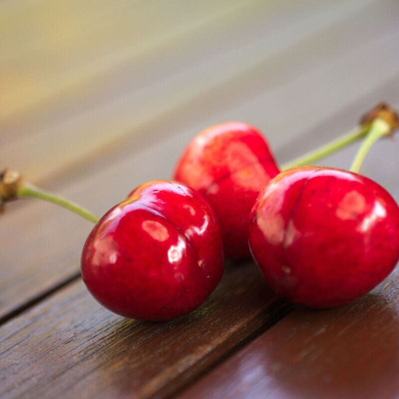 Plantes Avenue - Cerisier Bigarreau Coeur de Pigeon/Pot de 10L