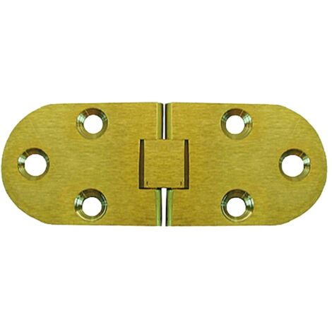 CERNIERA A BISCOTTO con fermo mm 30x80