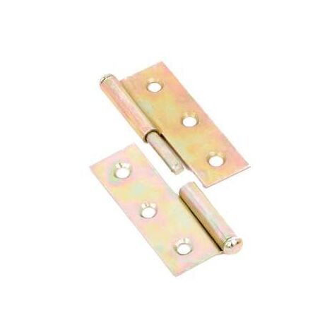 Cerniera Con Perno Sfilabile Mm.50X40