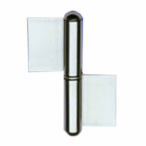 Cerniera ficcia 2 ali Aldeghi inox mm 12x122 DX