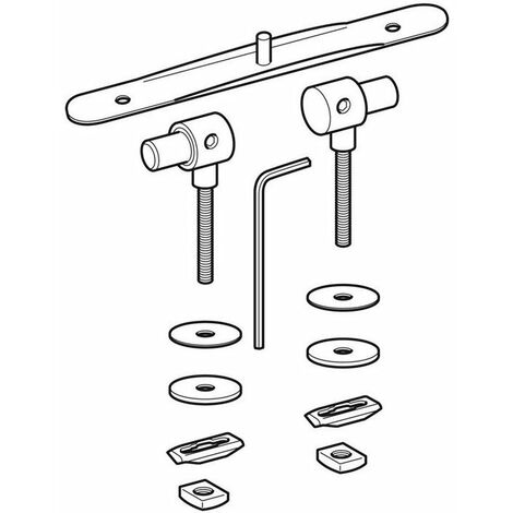 Cerniera Geberit per Wadis 573095