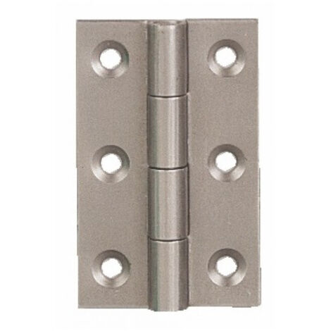 Cerniera in acciaio 60x35mm 2 pezzi con viti