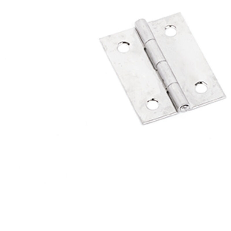 Cerniera inox MM.50X31 conf.r