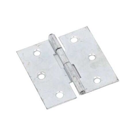 Cerniera Inox Mm.50X50