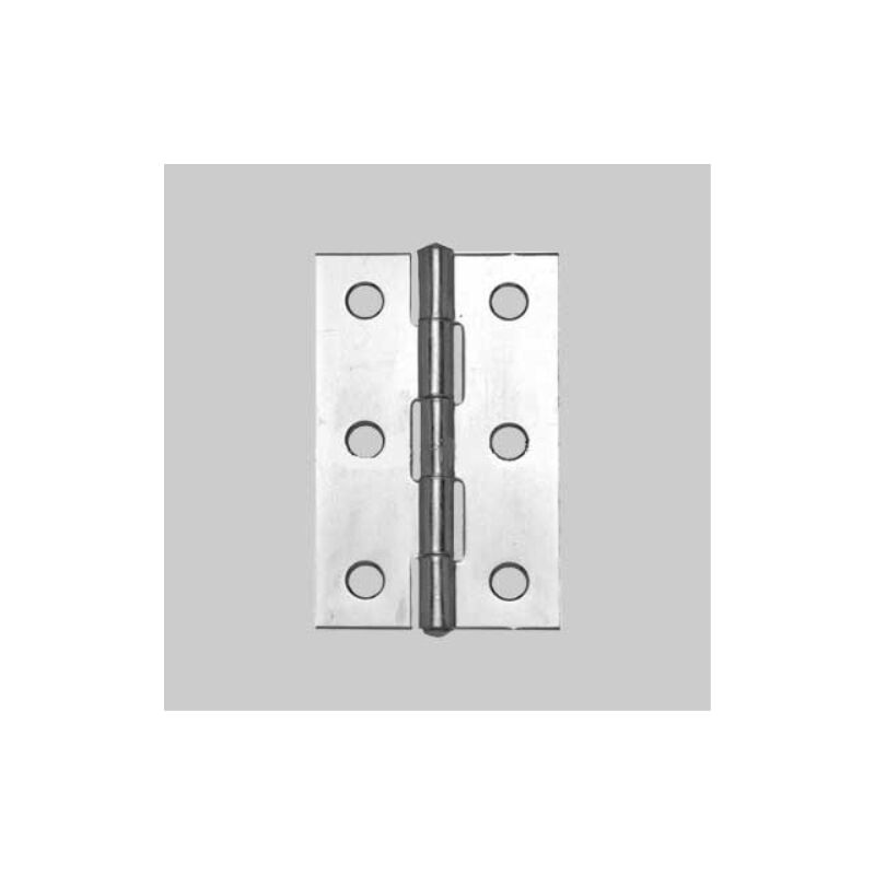 Cerniera inox stretta 50x30 mm (24 pezzi)