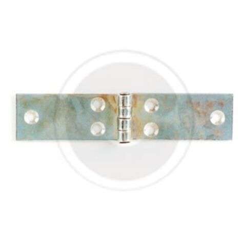 cerniera lunga in acciaio zincato con perno fisso 20x60 mm ase a libretto