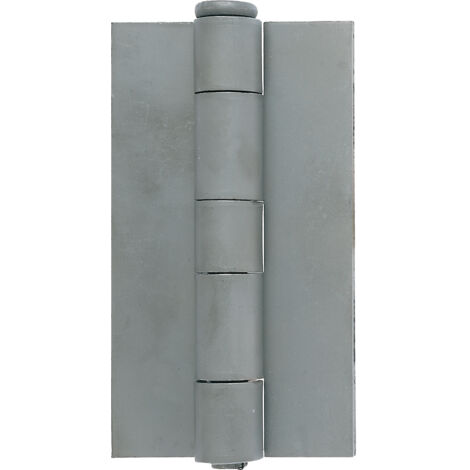CERNIERA PER FERRO EXTRA PESANTE  61X3,0X100 MM- 10,0 pz