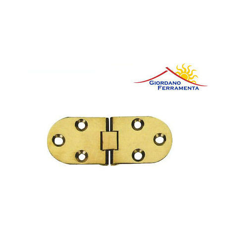 Cerniera per Mobili a Biscotto in Ottone Lucido 80X30 mm con Fermo