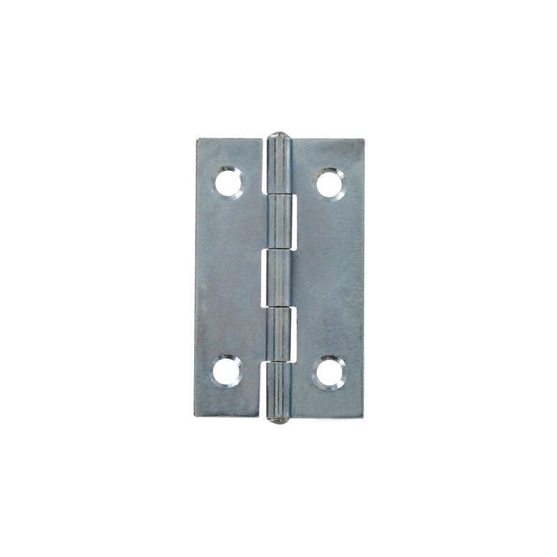 Vynex - cerniera per mobili acciaio zincato 100 x