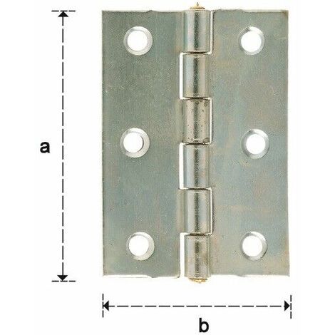Cerniera Zincata Big Stretta Perno Fisso Mm.100X49 20 Pezzi