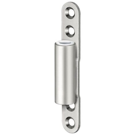 Cerniera Porta V8000 Wf Asr Nichel