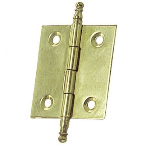 Cerniera Smontabile Ottone 210 50x40