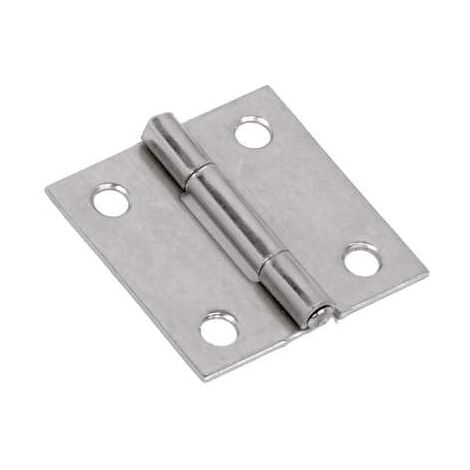 Cerniera Zincata Mm.60X50