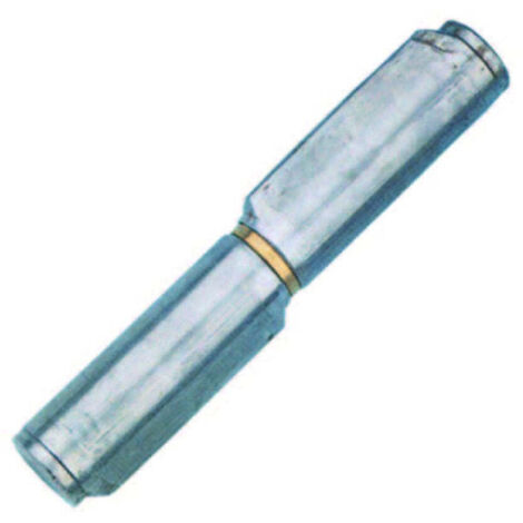 Cerniere Con Costa Perno Fisso In Ottone Art.256 - mm.100x ø 14 - 24 pz