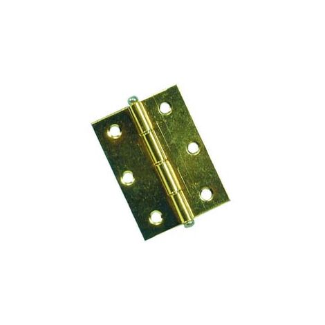 CERNIERE CON PERNO SFILABILE IN ACCIAIO OTTONATO- - mm.60x50 - 24 pezzi