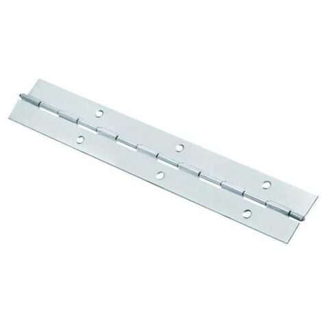 Cerniere In Acciaio A Metraggio Inox Metri 2 Mm. 32X0,7