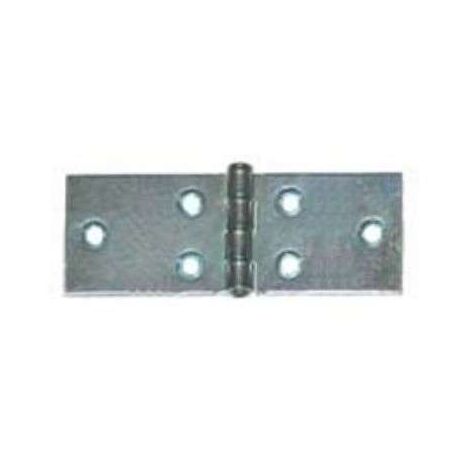 Cerniere lunghe 100x25 mm 4 pz acciaio zincato