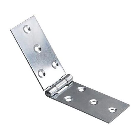CERNIERE LUNGHE P.FISSO A.20  MM.22X60