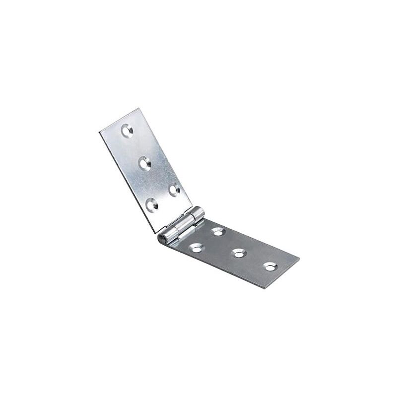 Cerniere lunghe p.fisso A.20 MM.22X60
