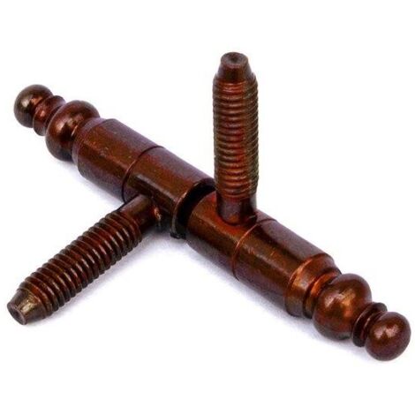 CERNIERE TORN.C/TEST.BR 13MM PZ2